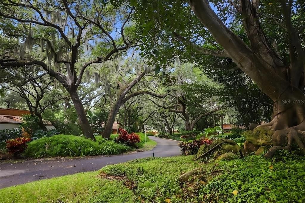 待售: $475,000 (3 贝兹, 2 浴室, 1716 平方英尺)