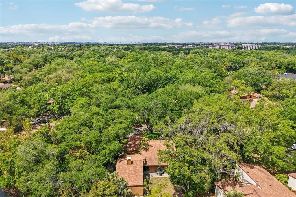 待售: $475,000 (3 贝兹, 2 浴室, 1716 平方英尺)