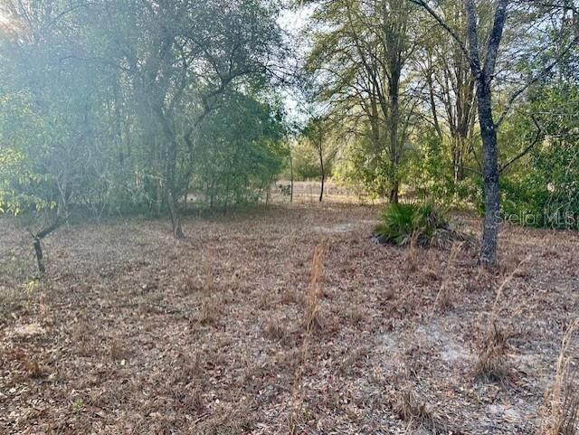 Vendido Recientemente: $27,500 (1.01 acres)