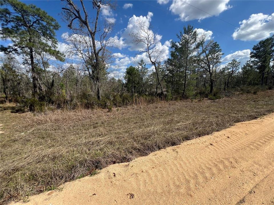 For Sale: $79,900 (5.02 acres)