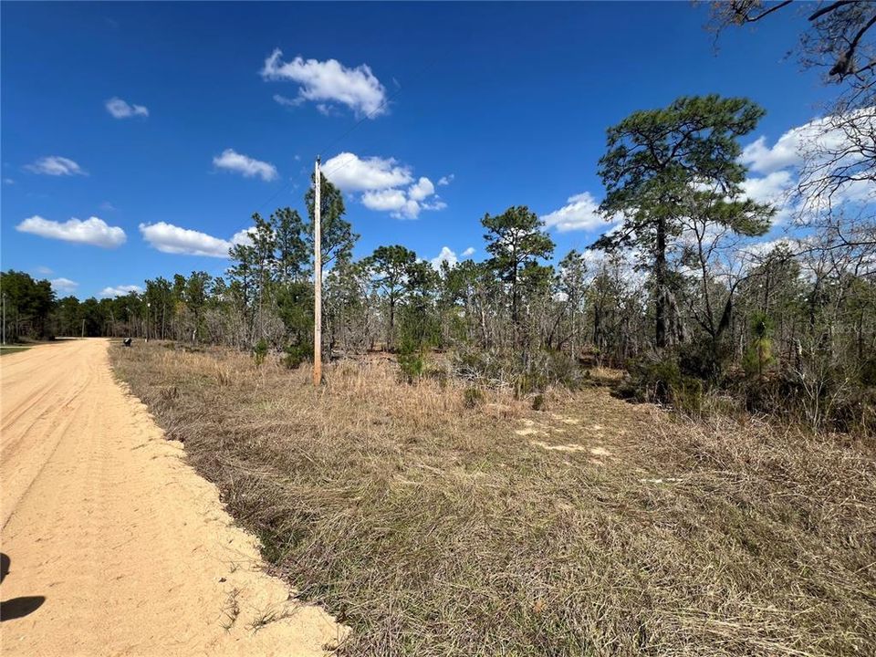 For Sale: $79,900 (5.02 acres)