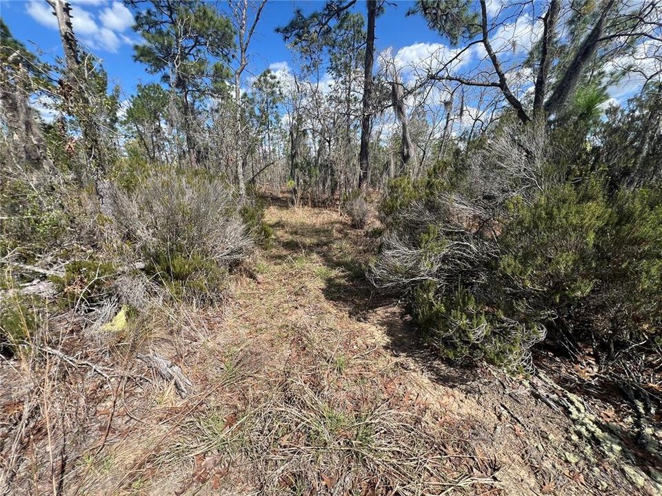 For Sale: $79,900 (5.02 acres)