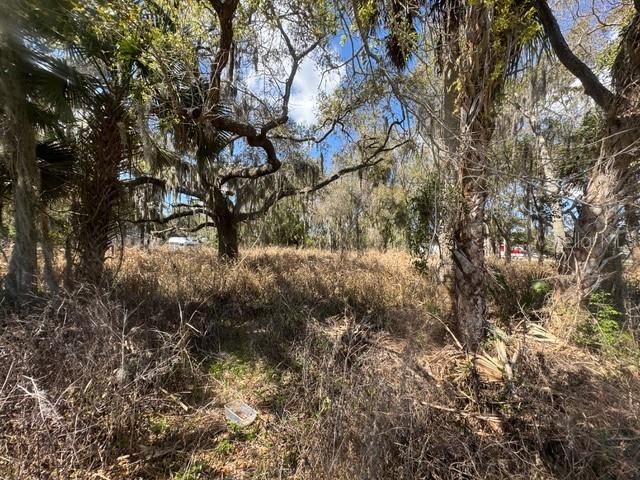 待售: $180,000 (0.72 acres)