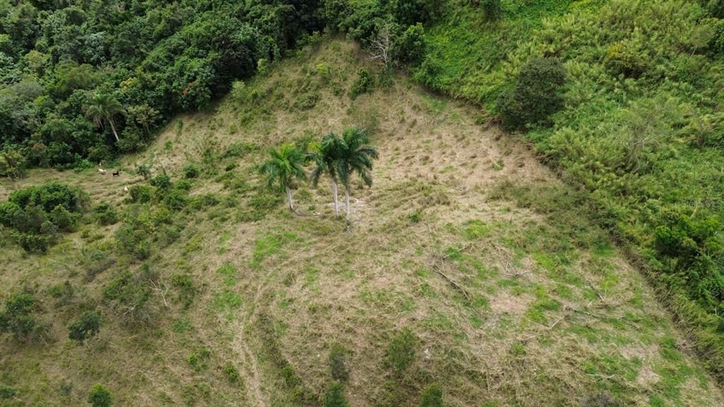 На продажу: $145,000 (2.39 acres)