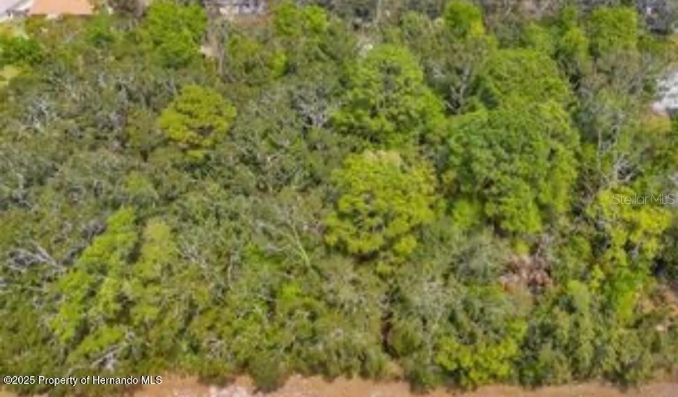 For Sale: $38,500 (0.97 acres)