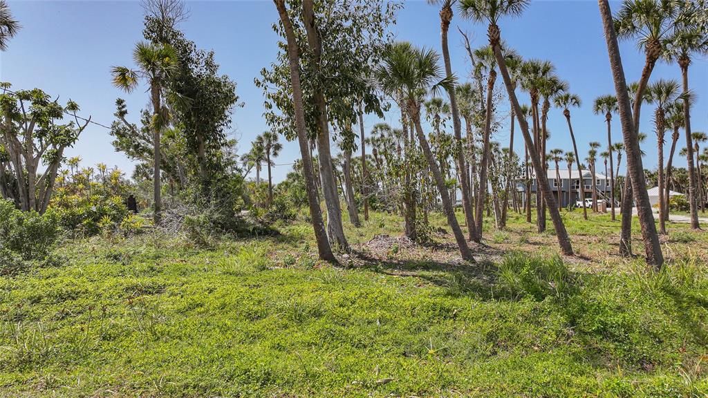 En Venta: $750,000 (4.49 acres)