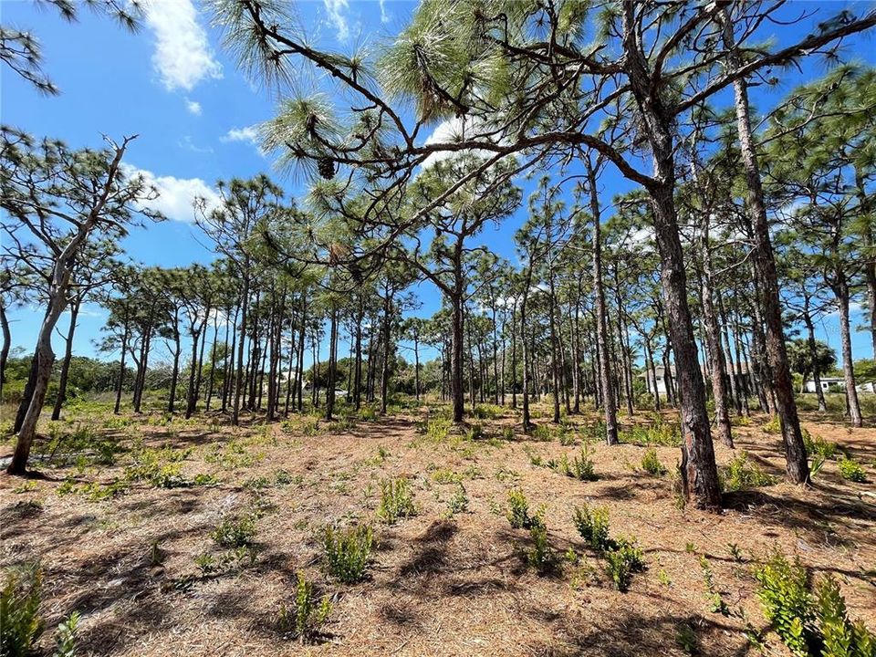 For Sale: $38,000 (0.50 acres)