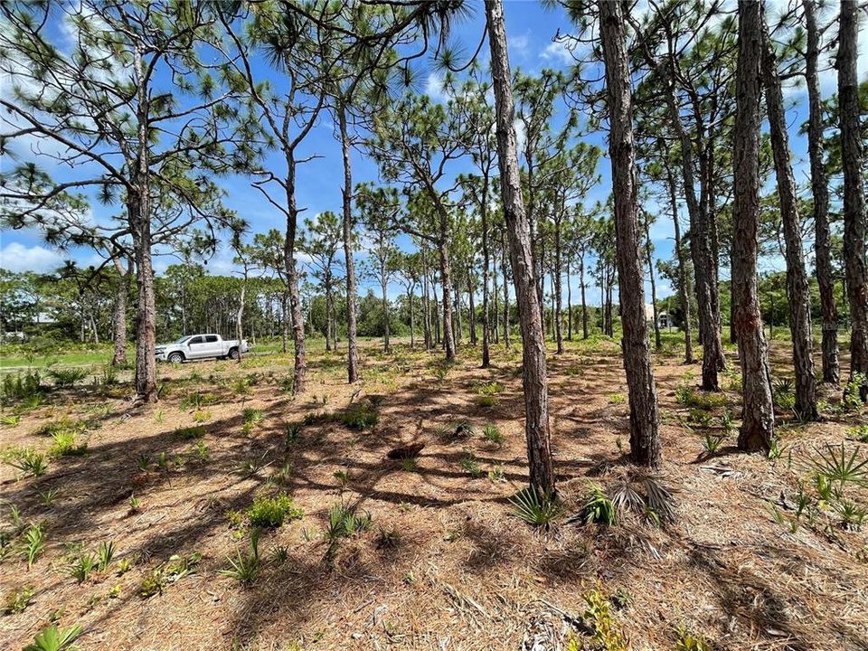 For Sale: $38,000 (0.50 acres)