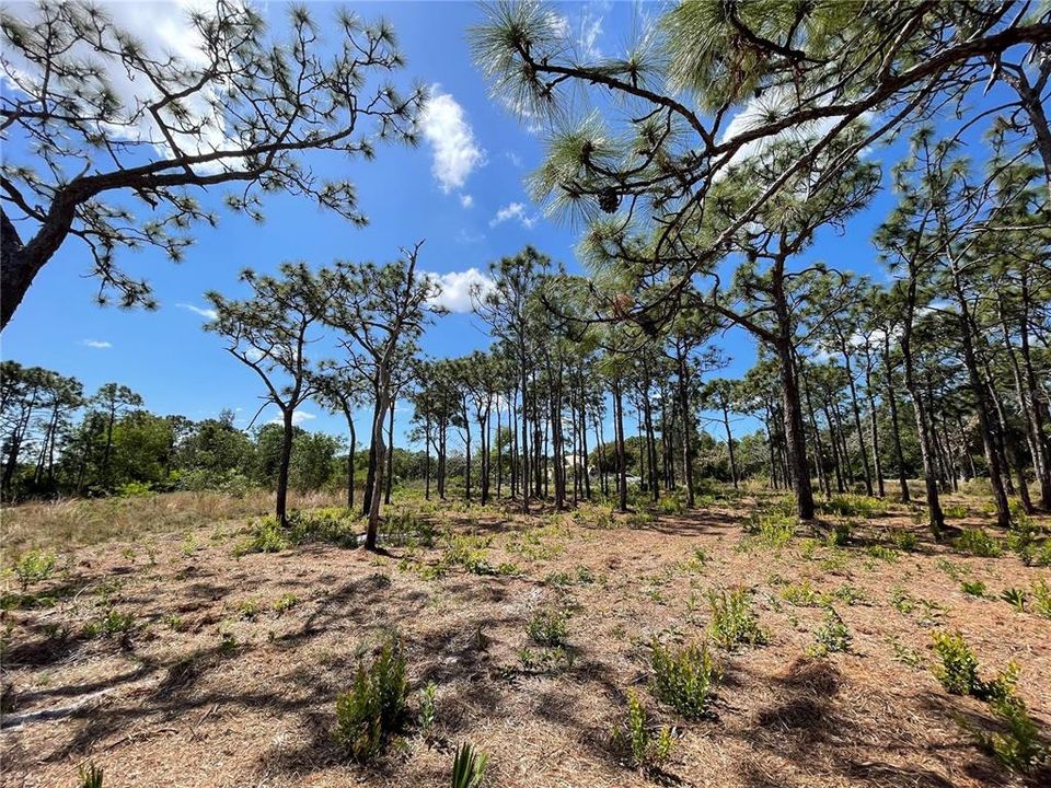 For Sale: $38,000 (0.50 acres)