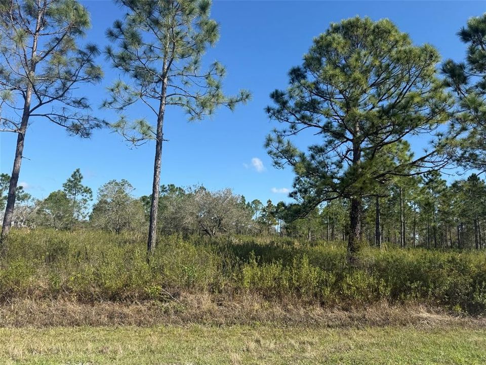 最近售出: $199,000 (5.00 acres)