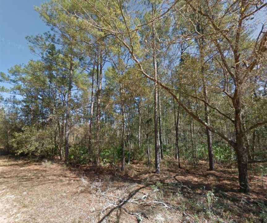 For Sale: $67,900 (3.40 acres)