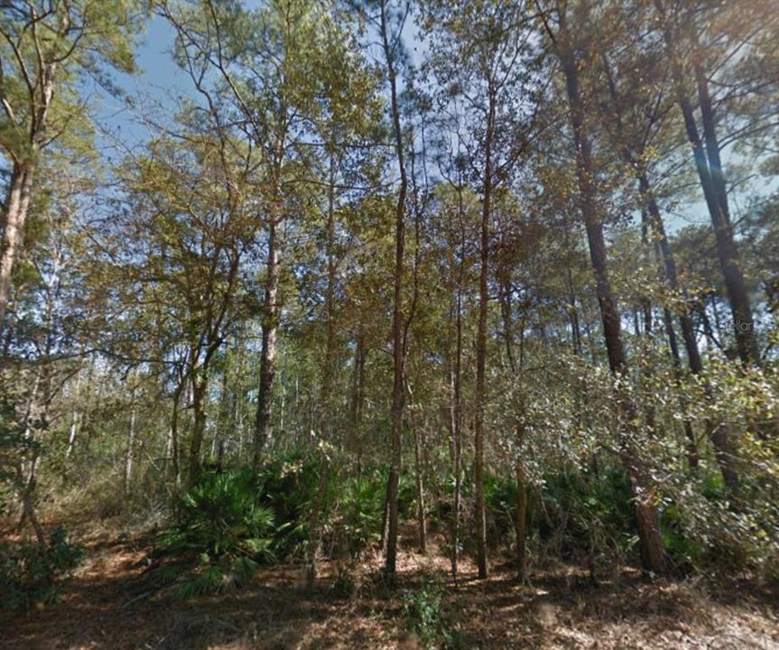 For Sale: $67,900 (3.40 acres)