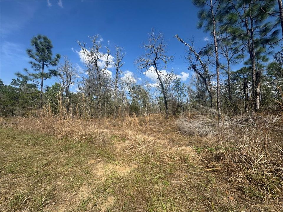На продажу: $10,000 (0.23 acres)