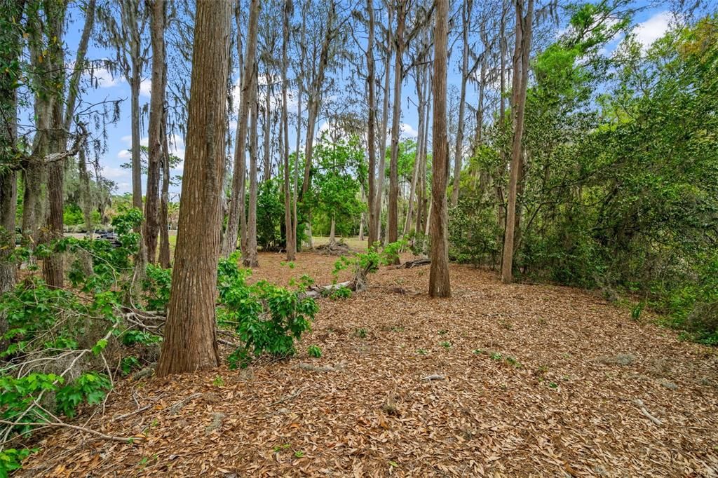 For Sale: $3,060,000 (5.10 acres)
