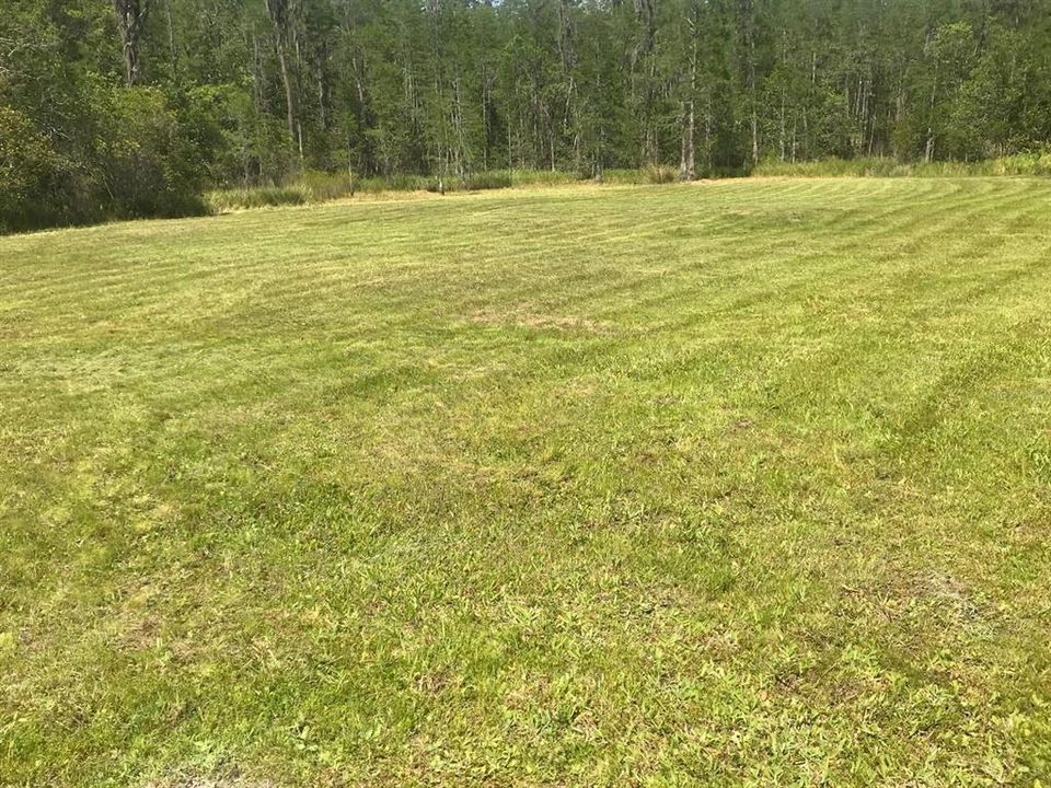 待售: $90,000 (1.03 acres)