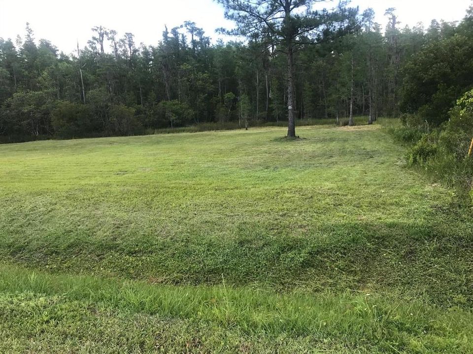 待售: $90,000 (1.03 acres)