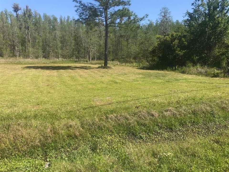 待售: $90,000 (1.03 acres)