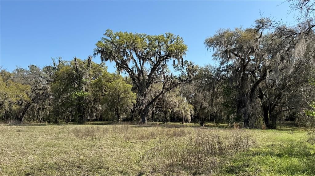 На продажу: $495,000 (2 спален, 1 ванн, 1978 Квадратных фут)