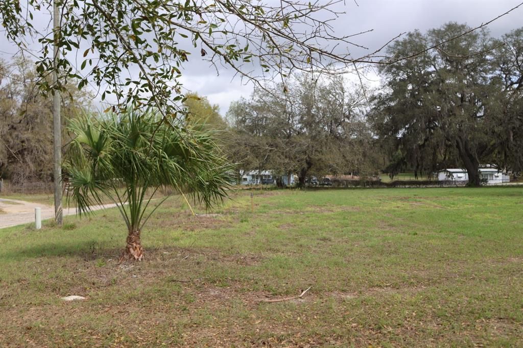 На продажу: $114,000 (1.53 acres)