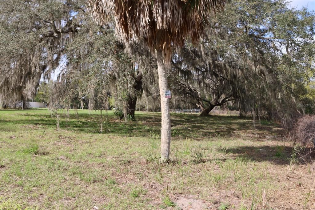 На продажу: $114,000 (1.53 acres)