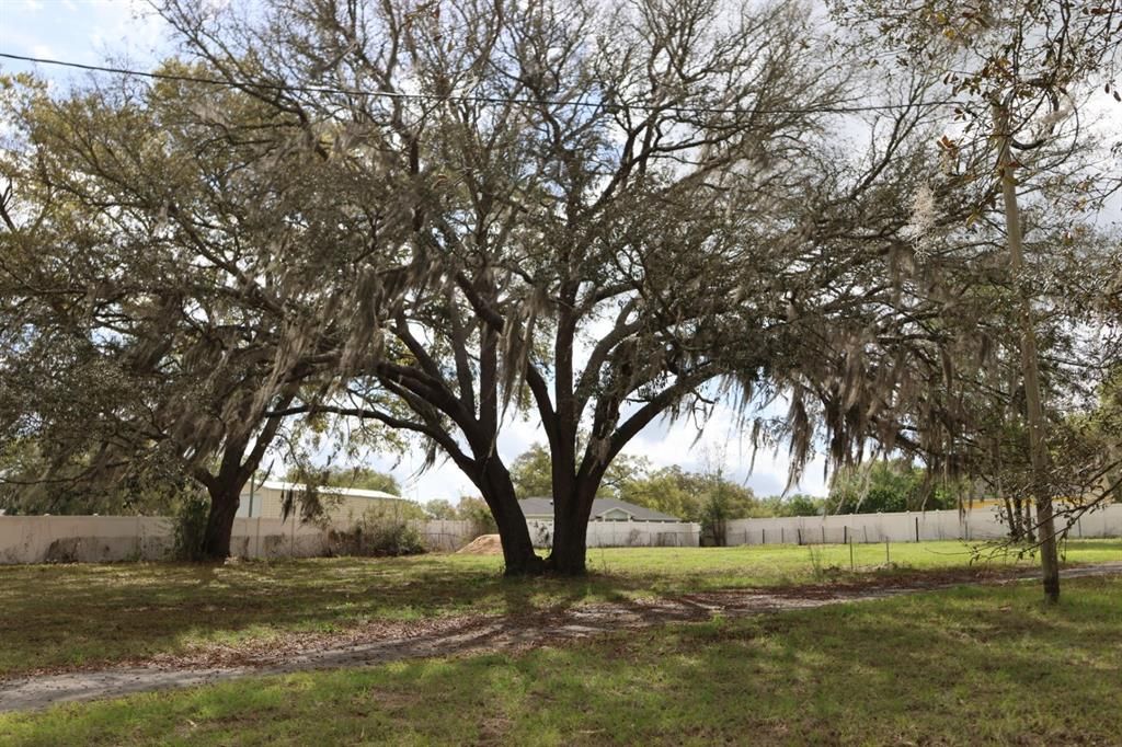 На продажу: $114,000 (1.53 acres)