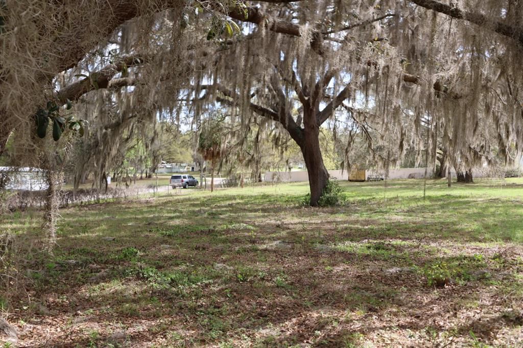 На продажу: $114,000 (1.53 acres)