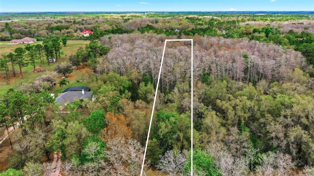 На продажу: $100,000 (1.09 acres)