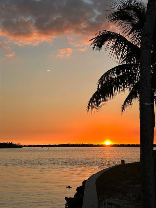 На продажу: $89,900 (0.08 acres)