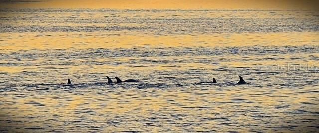 На продажу: $89,900 (0.08 acres)