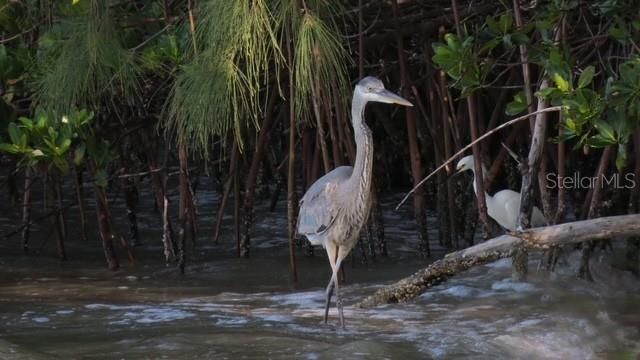 На продажу: $89,900 (0.08 acres)