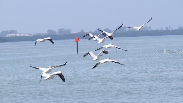 На продажу: $89,900 (0.08 acres)