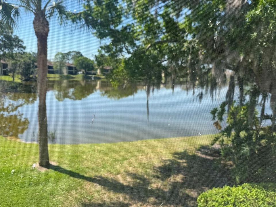 For Rent: $1,600 (2 beds, 2 baths, 1053 Square Feet)