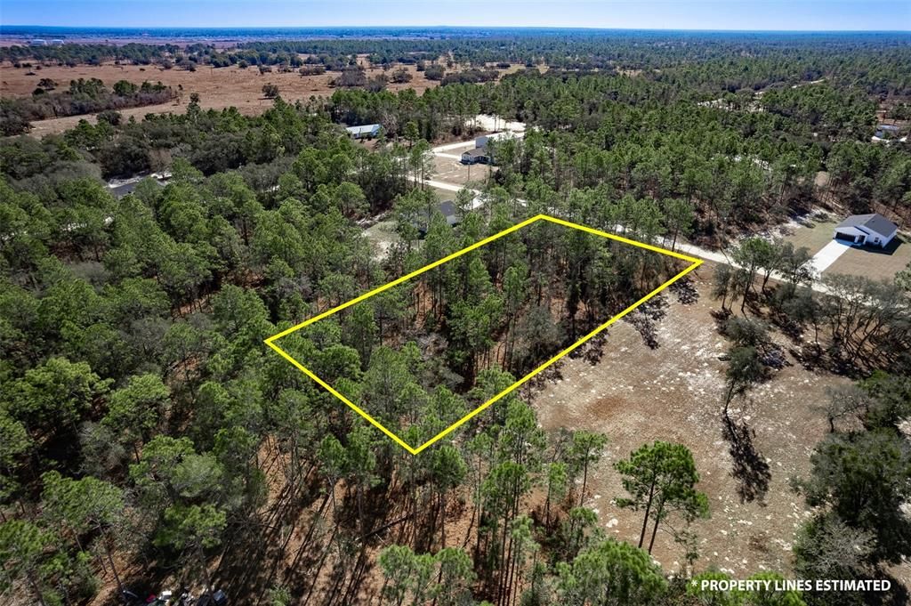 На продажу: $65,000 (1.16 acres)