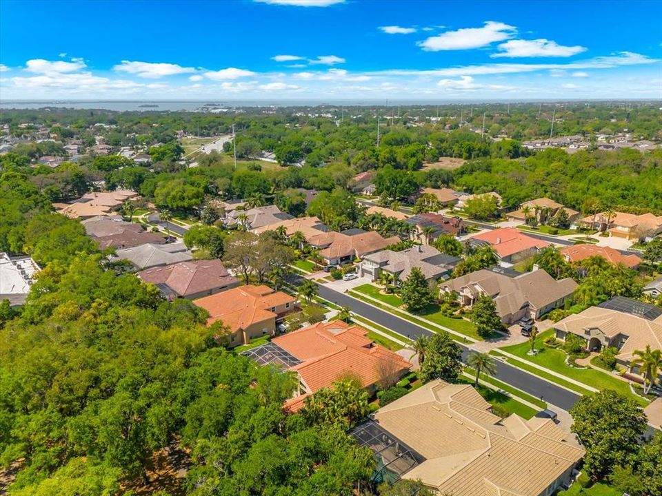 Activo con contrato: $1,450,000 (5 camas, 3 baños, 3340 Pies cuadrados)