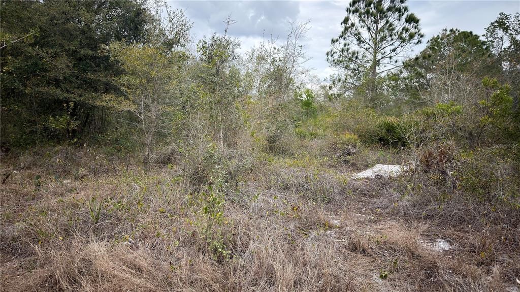 На продажу: $10,500 (0.28 acres)