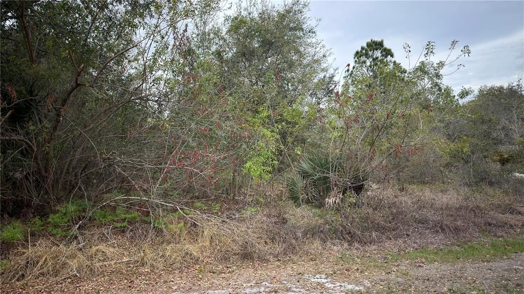 На продажу: $10,500 (0.28 acres)