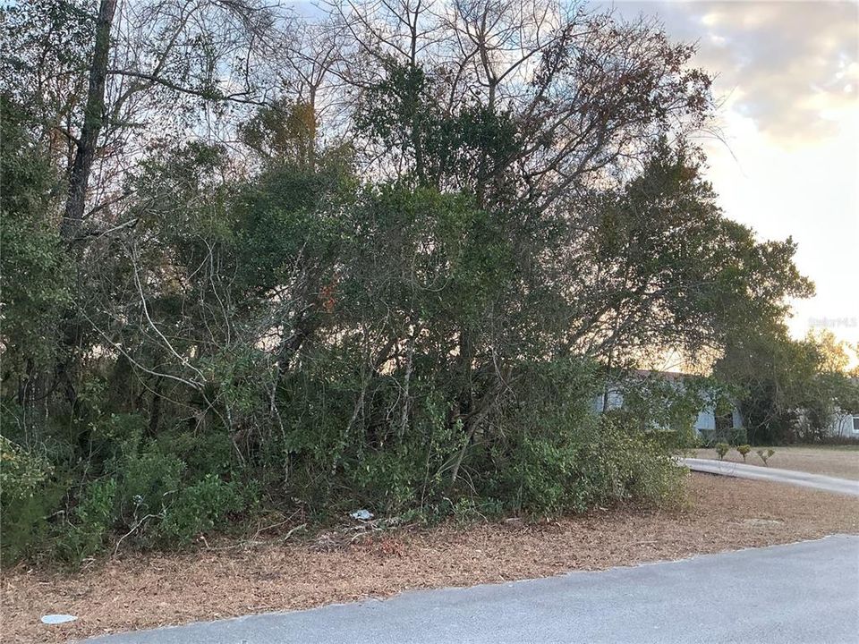 Под контрактом: $47,000 (0.23 acres)