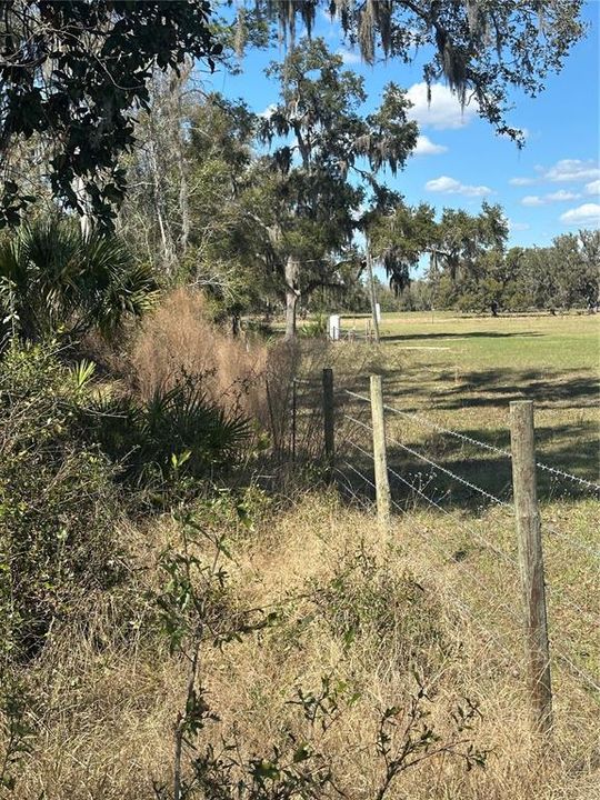 待售: $14,999 (0.36 acres)