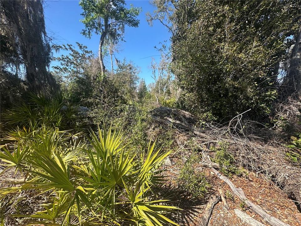 待售: $14,999 (0.36 acres)