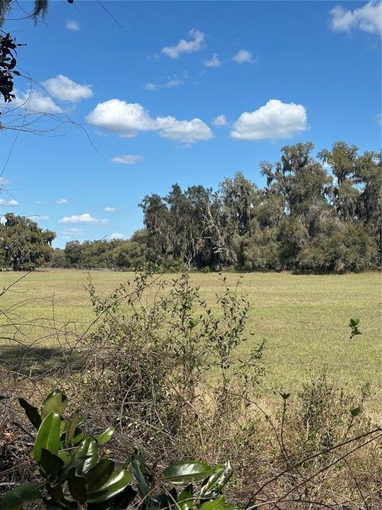 待售: $14,999 (0.36 acres)