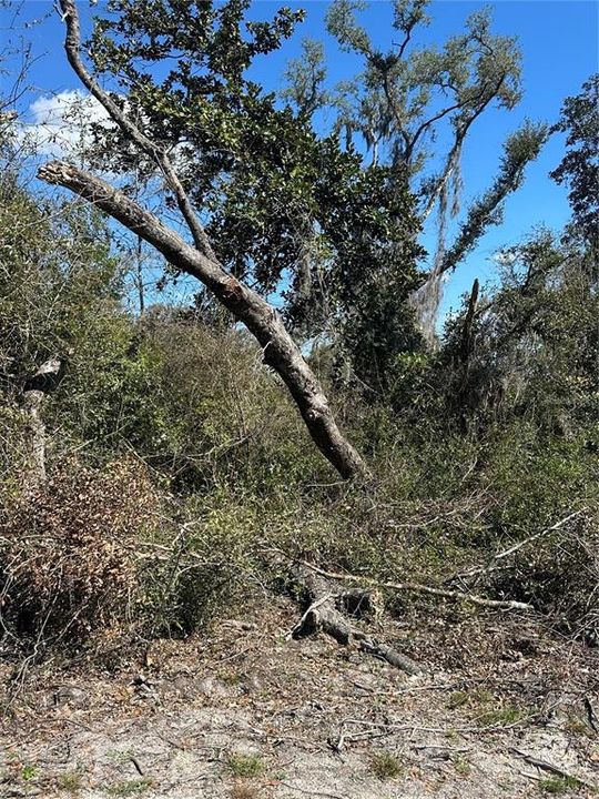 待售: $14,999 (0.36 acres)