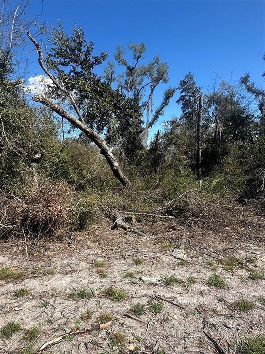 待售: $14,999 (0.36 acres)