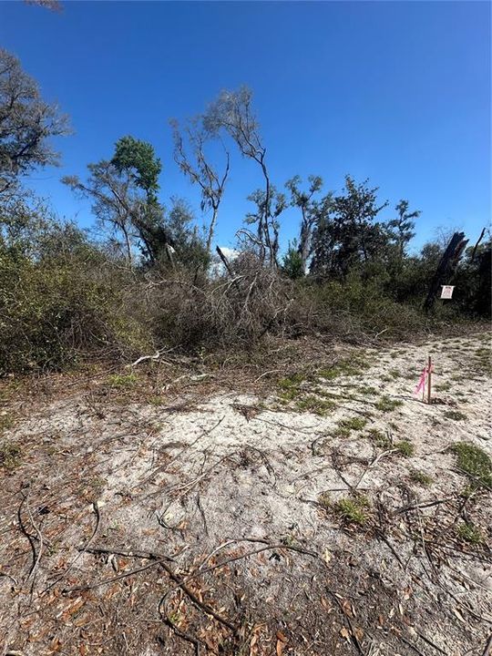 待售: $14,999 (0.36 acres)