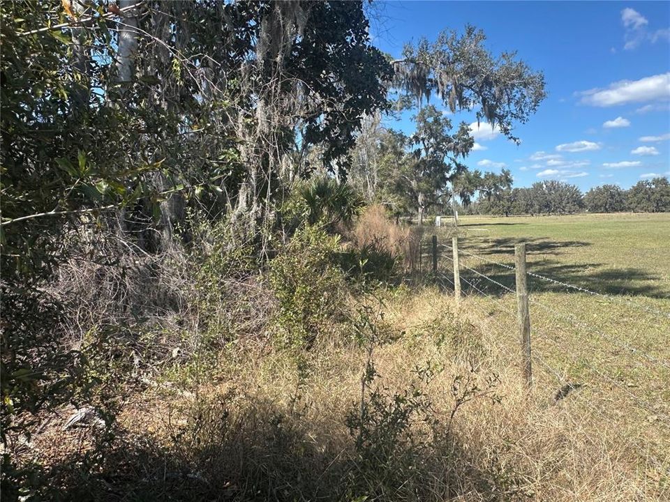 待售: $14,999 (0.36 acres)