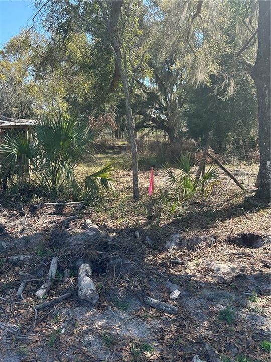 待售: $14,999 (0.36 acres)