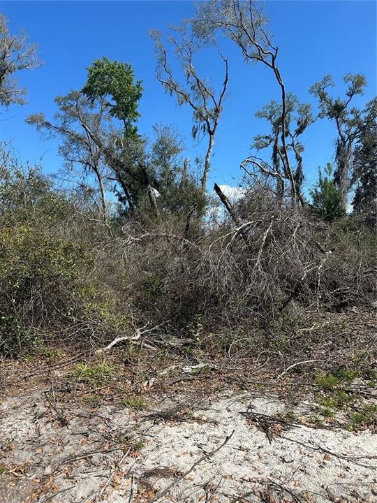 待售: $14,999 (0.36 acres)