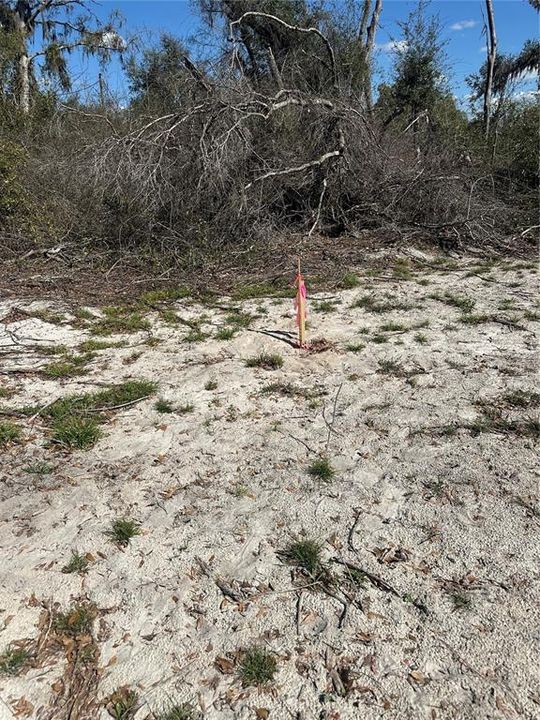 待售: $14,999 (0.36 acres)