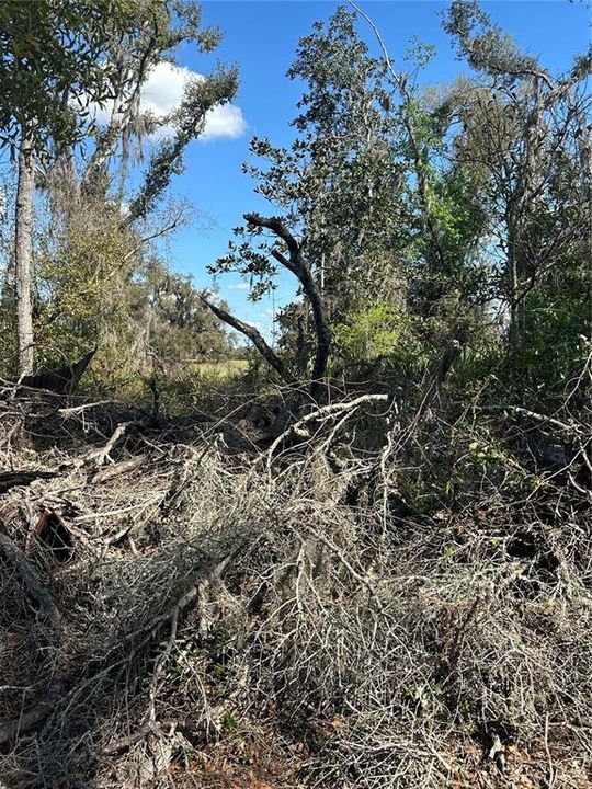 待售: $14,999 (0.36 acres)