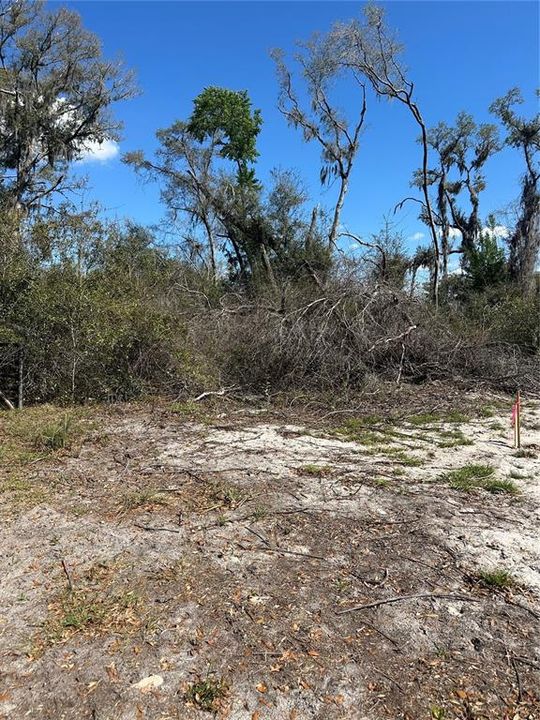 待售: $14,999 (0.36 acres)