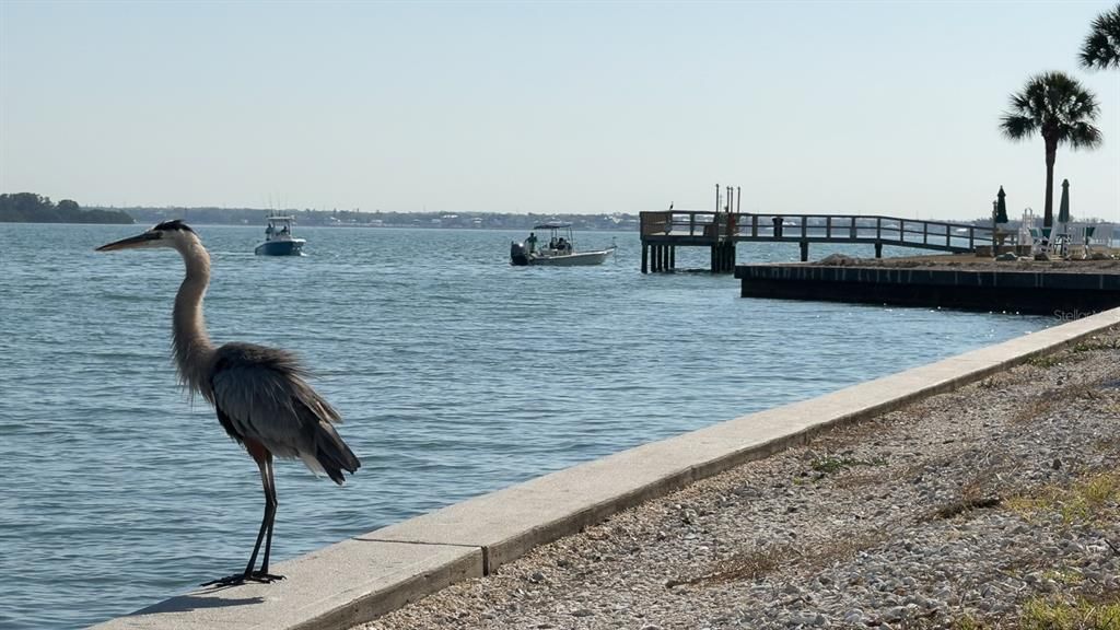 En Venta: $245,000 (2 camas, 1 baños, 1100 Pies cuadrados)